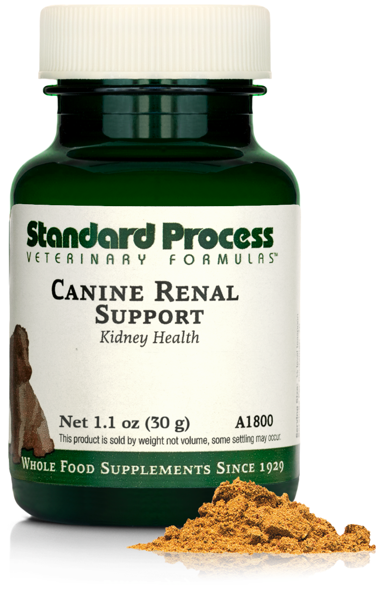 Canine Renal Support, 30 g
